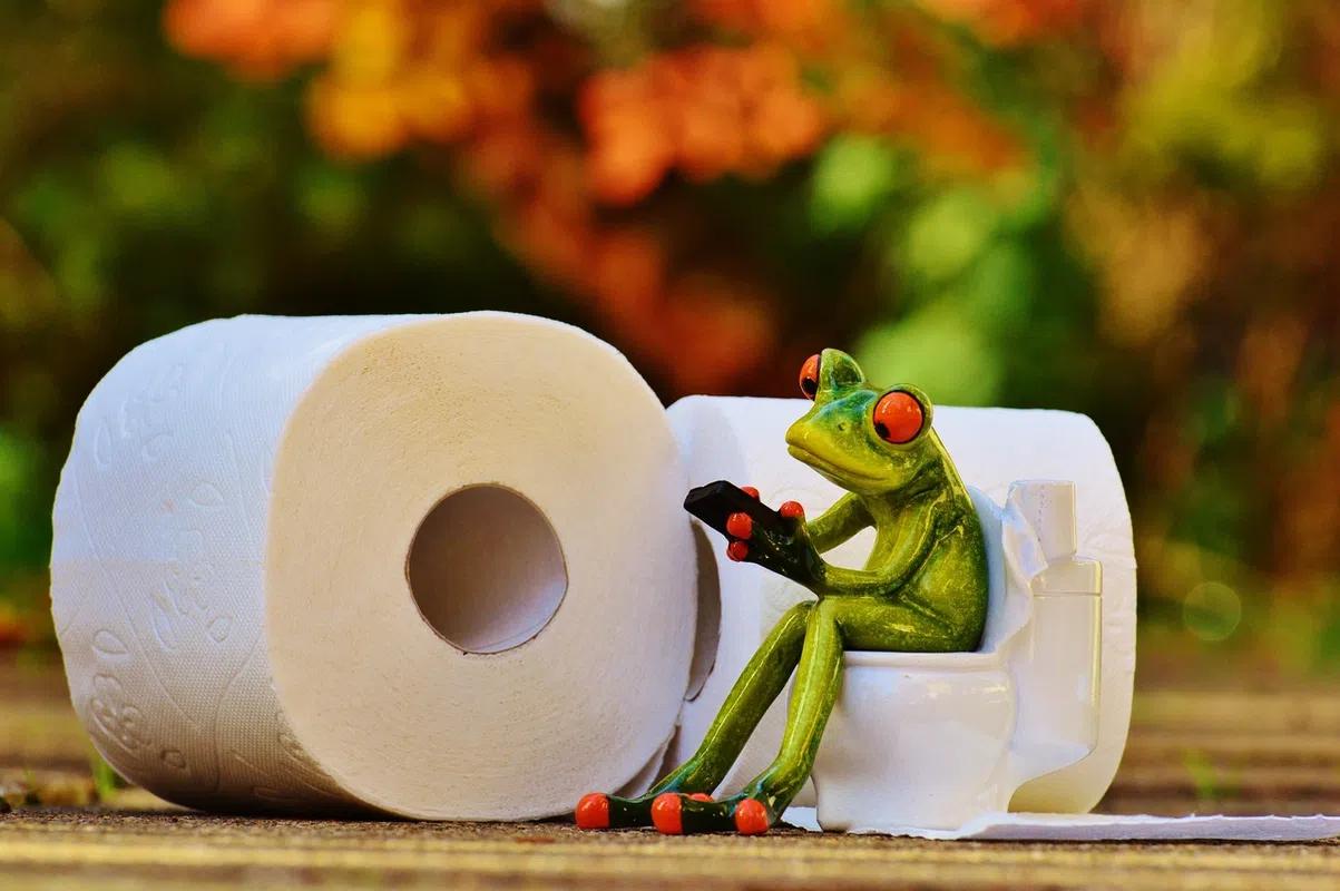 frog_toilet_paper